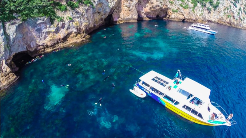 Come and experience a once in a lifetime dive at one of the worlds top 10 dive spots, The Poor Knights Islands, with the regions premier dive operator Dive! Tutukaka for an unbelievable underwater world experience!